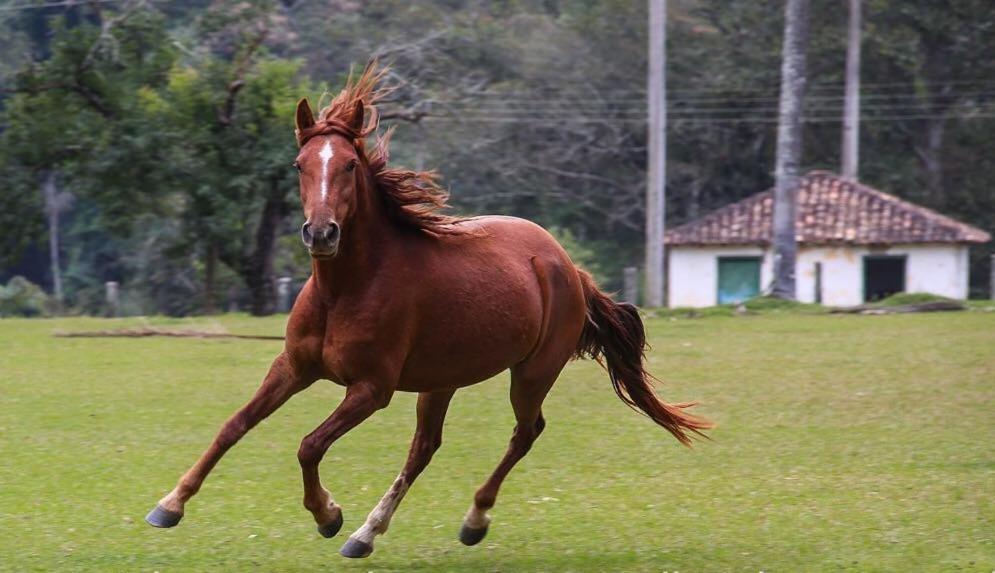 Fortuna Casas De Campo Socorro  Bagian luar foto