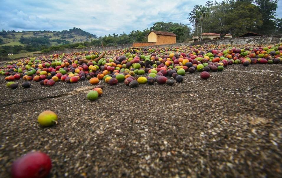 Fortuna Casas De Campo Socorro  Bagian luar foto