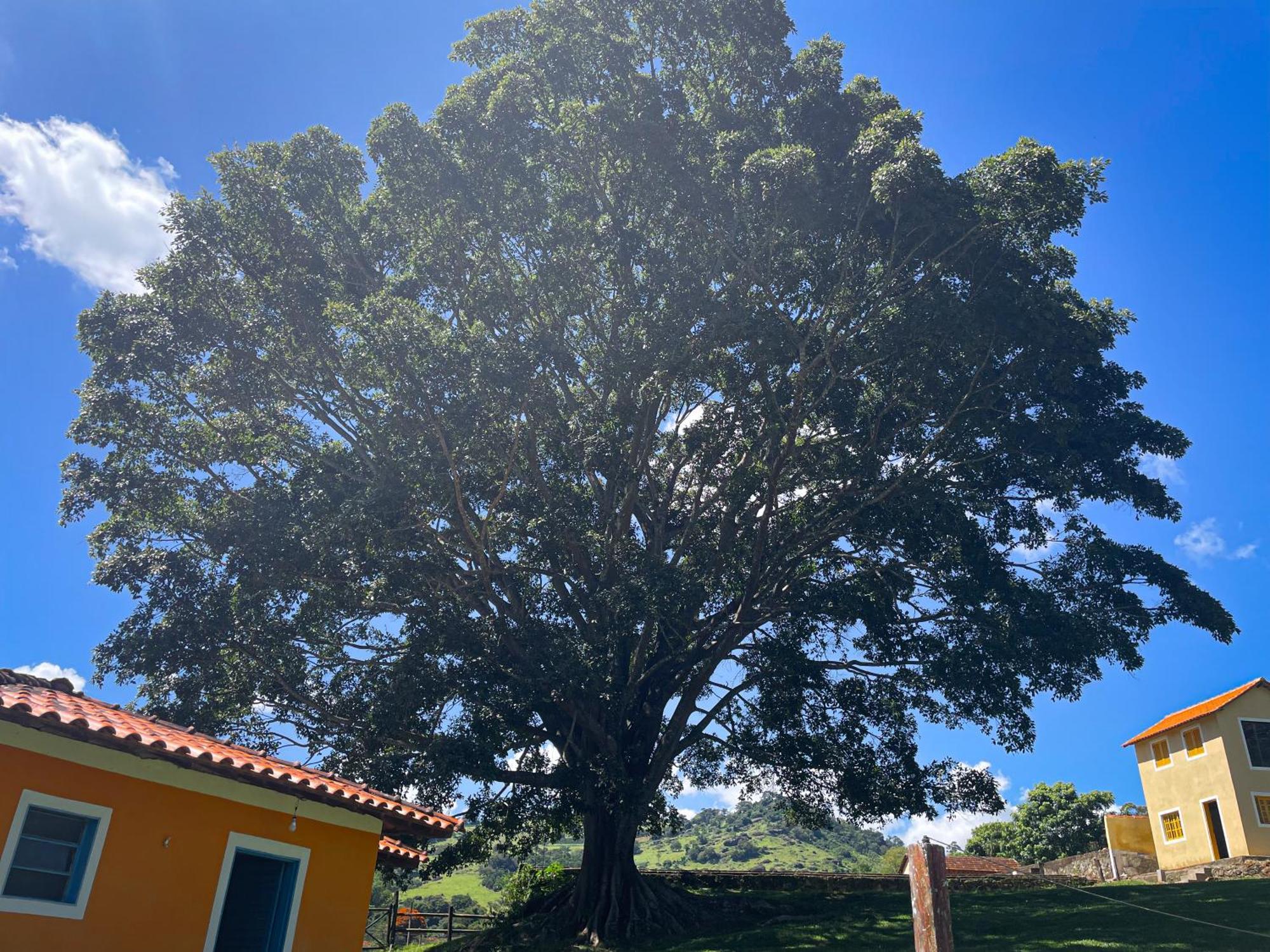 Fortuna Casas De Campo Socorro  Bagian luar foto